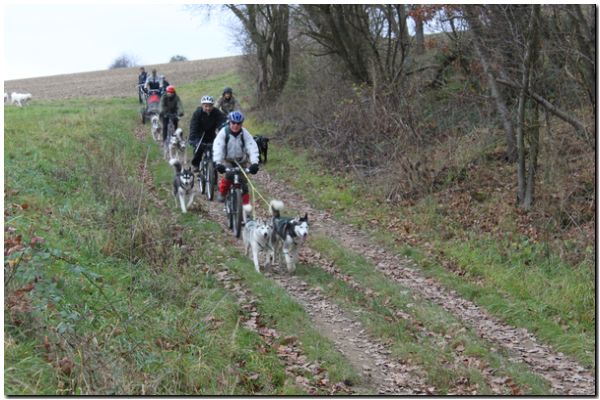 Tour Taunus 212.jpg